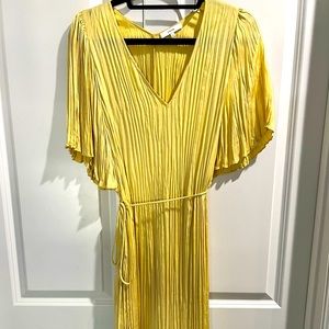 Vince silk dress, knee length. Gorgeous color and drape.